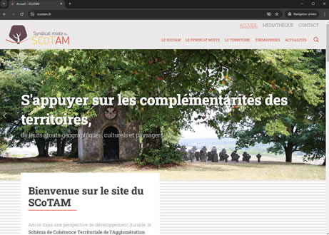 SCoTAM