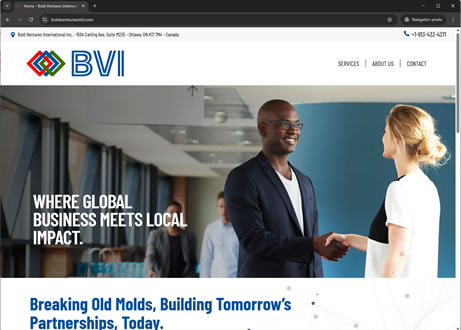 Page d'accueil du site : Bold Ventures International Inc.